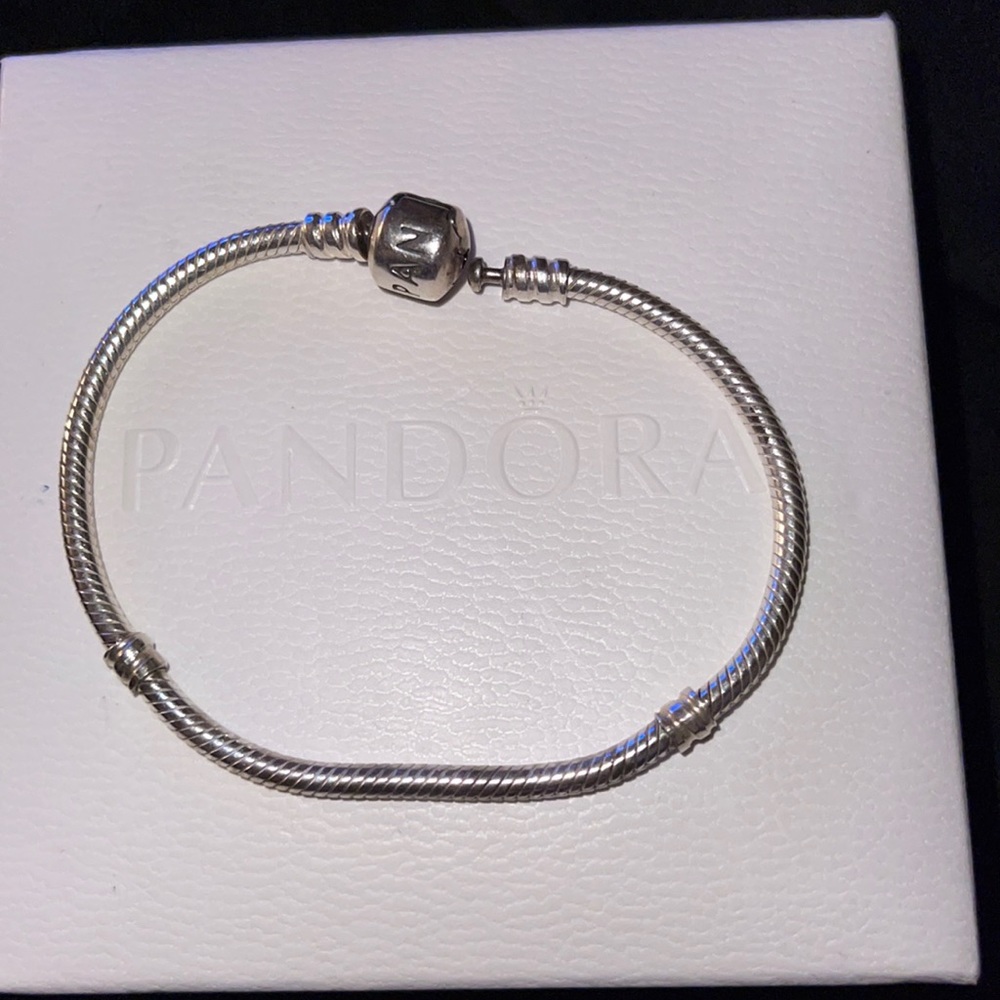 Pandora charm bracelet